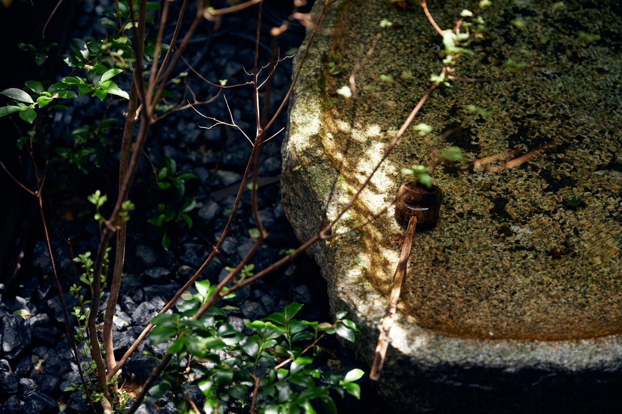 Yadoru Kyoto Hanare Mizunoe No Yado Exterior foto